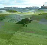 Day Tour of Phillip Island  Surrounding Region - Tourism Cairns
