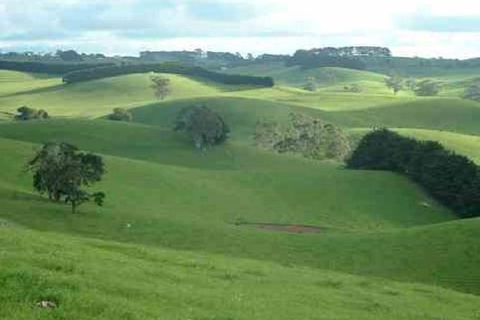 Day Tour Of Phillip Island & Surrounding Region - Tourism Cairns 0