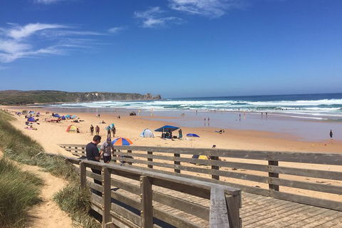Day Tour Of Phillip Island & Surrounding Region - Tourism Cairns 6