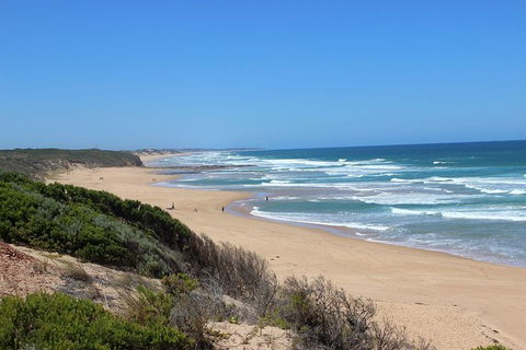 Day Tour Of Phillip Island & Surrounding Region - Tourism Cairns 1