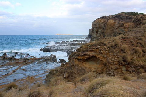 Day Tour Of Phillip Island & Surrounding Region - Tourism Cairns 11