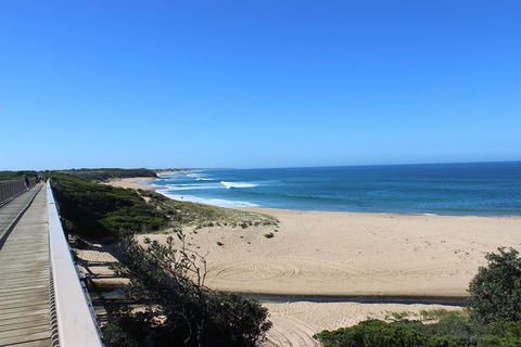 Day Tour Of Phillip Island & Surrounding Region - Tourism Cairns 3