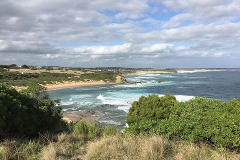 Day Tour Of Phillip Island & Surrounding Region - Tourism Cairns 10