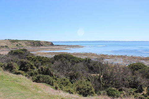 Day Tour Of Phillip Island & Surrounding Region - Tourism Cairns 2