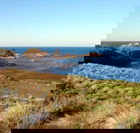 Phillip Island Walking  Bird Watching Tour - Tourism Cairns