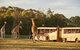 Sunset Safari At Werribee Open Range Zoo - thumb 0