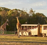 Sunset Safari at Werribee Open Range Zoo