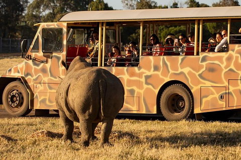Sunset Safari At Werribee Open Range Zoo - Tourism Cairns 3