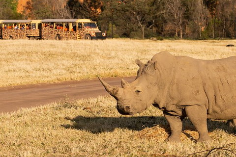 Sunset Safari At Werribee Open Range Zoo - Tourism Cairns 6