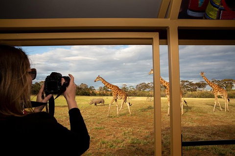 Sunset Safari At Werribee Open Range Zoo - Tourism Cairns 5