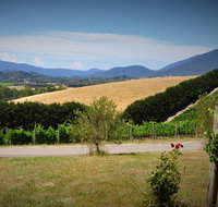 Romantic Private Yarra Valley Day Trip for Two from Melbourne - Tourism Cairns