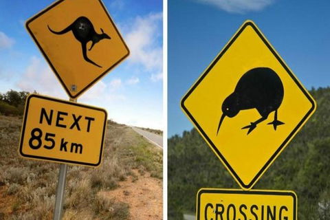 Aroha Tangata Australia And New Zealand 20 Day - Tourism Cairns 0