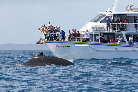 Phillip Island Whale Watching Tour - Tourism Cairns 2
