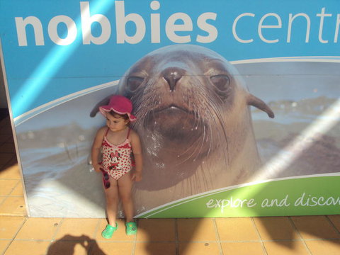 Phillip Island 3 Park Pass: Penguin Parade, Koala Conservation Centre And Penguin Parade, Koala ConservationHeritage Farm - Tourism Cairns 3