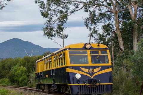 Steam Train, Yarra Valley & Healesville Wildlife Sanctuary Full Day Tour - Tourism Cairns 3