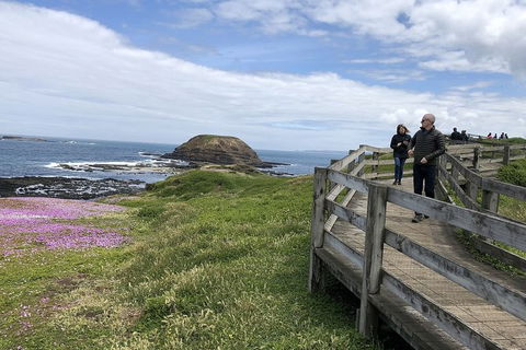 Phillip Island Tour Including Phillip Island Penguin Parade - Tourism Cairns 10