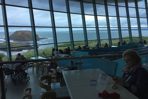 Phillip Island Tour Including Phillip Island Penguin Parade - Tourism Cairns 4