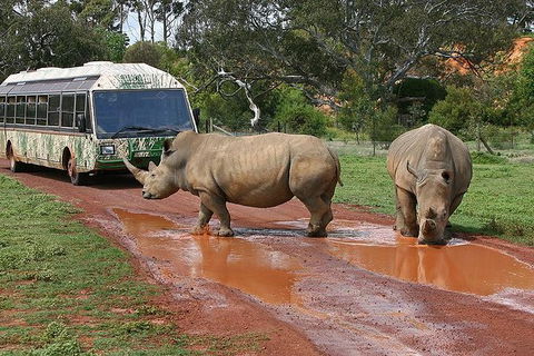 Melbourne Attractions Pass Including Melbourne Zoo, Hop-on Hop-off Bus And SEA LIFE Aquarium - Tourism Cairns 13