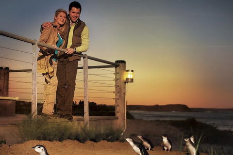 Melbourne Attractions Pass Including Melbourne Zoo, Hop-on Hop-off Bus And SEA LIFE Aquarium - Tourism Cairns 10