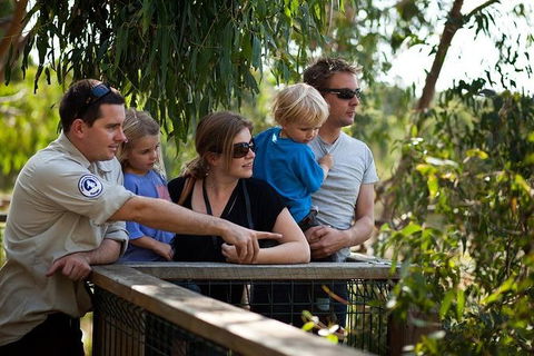 Phillip Island Koala Conservation Centre: Entry Ticket - Tourism Cairns 1