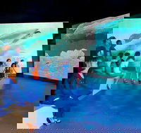 Phillip Island Antarctic Journey Entry ticket - Tourism Cairns