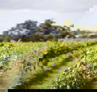 Phillip Island Wine Experience Tour - Tourism Cairns