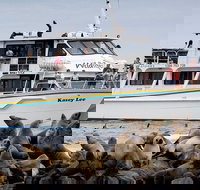 Phillip Island Seal-Watching Cruise - Tourism Cairns