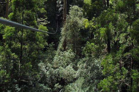 Adventure Sunset Three Day Great Ocean Road Tour - Tourism Cairns 7
