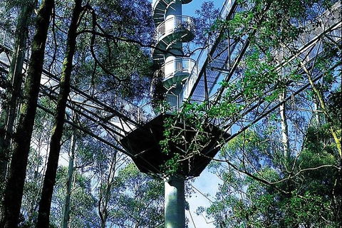 Adventure Sunset Three Day Great Ocean Road Tour - Tourism Cairns 25