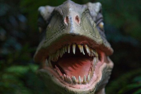 Adventure Sunset Three Day Great Ocean Road Tour - Tourism Cairns 16