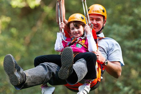 Adventure Sunset Three Day Great Ocean Road Tour - Tourism Cairns 9