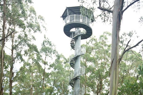 Adventure Sunset Three Day Great Ocean Road Tour - Tourism Cairns 3