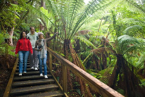 Adventure Sunset Three Day Great Ocean Road Tour - Tourism Cairns 13