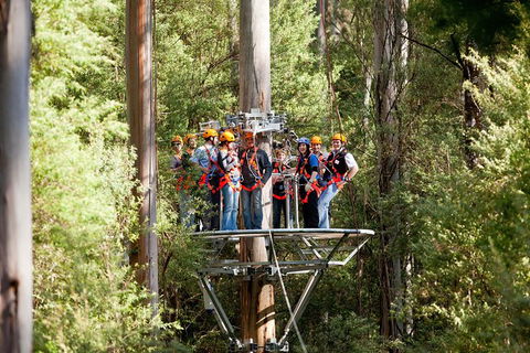 Adventure Sunset Three Day Great Ocean Road Tour - Tourism Cairns 26