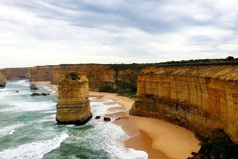 Ultimate Reverse Direction - 12 Apostles, Great Ocean Road - Small Group Tour - Tourism Cairns 1