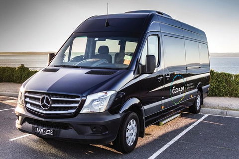 Ultimate Reverse Direction - 12 Apostles, Great Ocean Road - Small Group Tour - Tourism Cairns 4