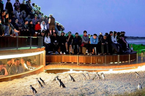 1 Day Exclusively Private Tour Of Phillip Island & The Penguin Parade - Tourism Cairns 0