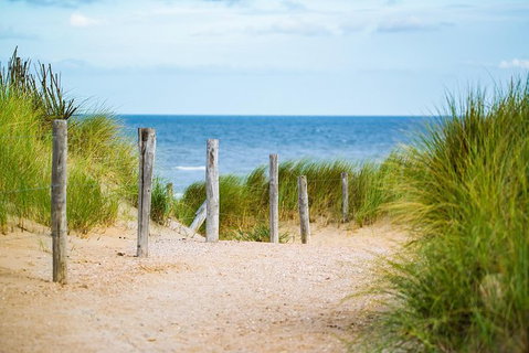 1 Day Exclusively Private Tour Of Phillip Island & The Penguin Parade - Tourism Cairns 6