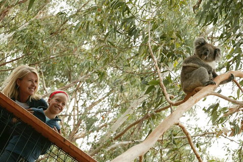 1 Day Exclusively Private Tour Of Phillip Island & The Penguin Parade - Tourism Cairns 9