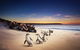 Phillip Island Penguin Parade For 21 Passengers - thumb 0