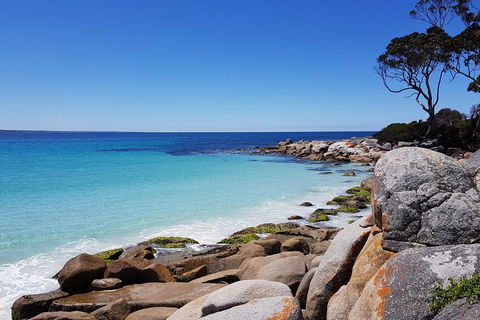Tasmania 6 Day \'Tour In Circle\' - Tourism Cairns 4