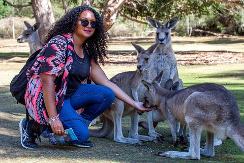 3-Day Tasmania Combo: Launceston To Hobart Active Tour Including Cradle Mountain, Freycinet National Park And Port Arthur - Tourism Cairns 12