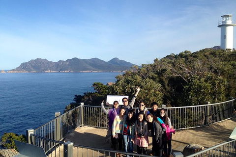 Wineglass Bay And Freycinet National Park Active Day Trip From Hobart - Tourism Cairns 1