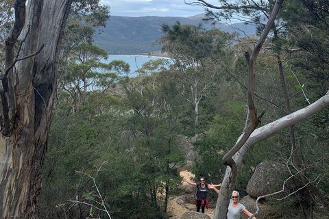 Wineglass Bay And Freycinet National Park Active Day Trip From Hobart - Tourism Cairns 14