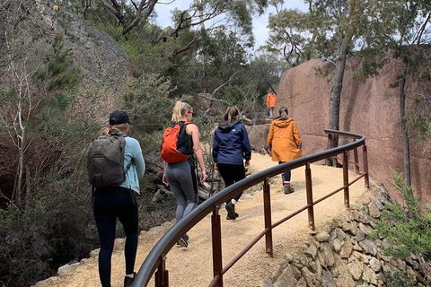 Wineglass Bay And Freycinet National Park Active Day Trip From Hobart - Tourism Cairns 25