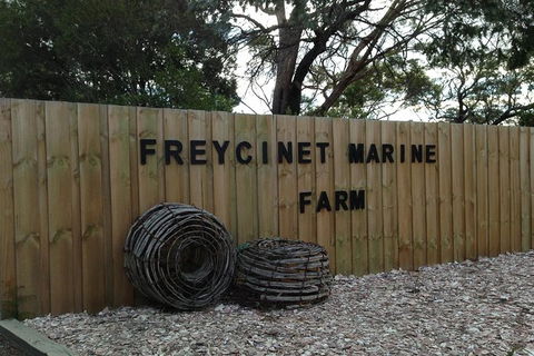 Wineglass Bay And Freycinet National Park Active Day Trip From Hobart - Tourism Cairns 20