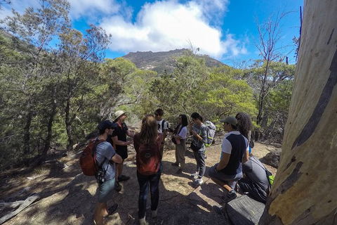 Wineglass Bay And Freycinet National Park Active Day Trip From Hobart - Tourism Cairns 9