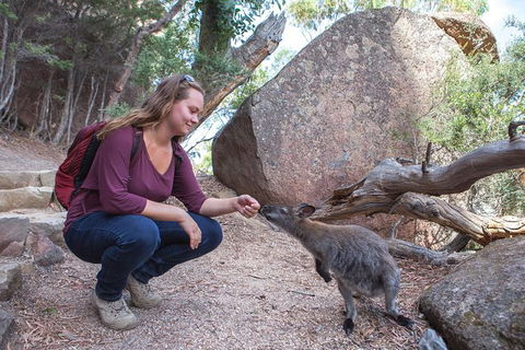 Wineglass Bay And Freycinet National Park Active Day Trip From Hobart - Tourism Cairns 31