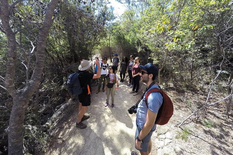Wineglass Bay And Freycinet National Park Active Day Trip From Hobart - Tourism Cairns 19