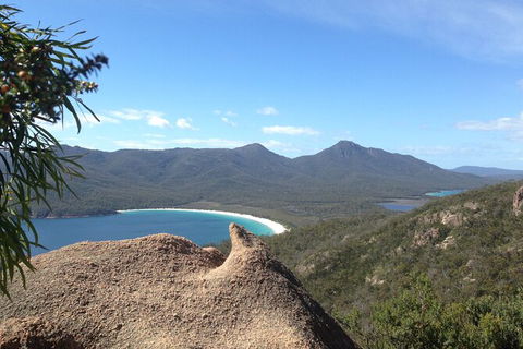Wineglass Bay And Freycinet National Park Active Day Trip From Hobart - Tourism Cairns 33